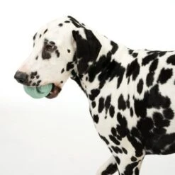 Pelota Portasnacks Nomad Tales Bloom Snack Roller Juguete Para Perros 13 Pelota Portasnacks Nomad Tales Bloom Snack Roller Juguete Para Perros -Gatos Perros Suministros Tienda 333015 rolling snack roll fg 0570 7