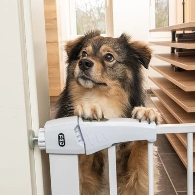 Barrera Blanca TIAKI Con 7 Cm De Extensión Para Perros 7 Barrera Blanca TIAKI Con 7 Cm De Extensión Para Perros - Imagen 7