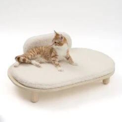 Sofá Osaka Modern Living Para Mascotas -Gatos Perros Suministros Tienda 342803 modern living osaka katze 0629 4