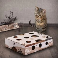 Canadian Cat Company MagicBox Juego De Inteligencia Para Gatos -Gatos Perros Suministros Tienda 346599 canadiancat company intelligenzspielzeug magicbox hs 11 0