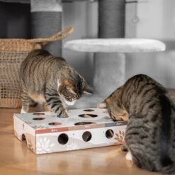 Canadian Cat Company MagicBox Juego De Inteligencia Para Gatos -Gatos Perros Suministros Tienda 346599 canadiancat company intelligenzspielzeug magicbox hs 13 9