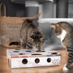 Canadian Cat Company MagicBox Juego De Inteligencia Para Gatos -Gatos Perros Suministros Tienda 346599 canadiancat company intelligenzspielzeug magicbox hs 16 0