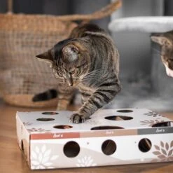 Canadian Cat Company MagicBox Juego De Inteligencia Para Gatos -Gatos Perros Suministros Tienda 346599 canadiancat company intelligenzspielzeug magicbox hs 18 2