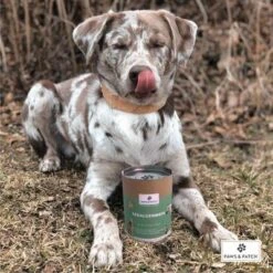 PAWS & PATCH Harina De Algas -Gatos Perros Suministros Tienda 346896 paws patch seealgenmehl 250g hs 02 0