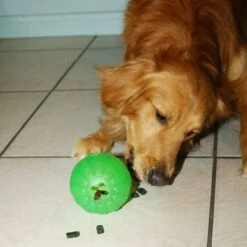 Starmark Pelota Portasnacks Para Perros -Gatos Perros Suministros Tienda 388801 starmark treat dispensing chewball hs 04 0