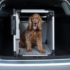 Jaula De Transporte Trixie De Aluminio -Gatos Perros Suministros Tienda 42572 trixie transportbox alu fg 3591 3