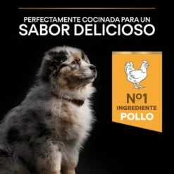 PURINA PRO PLAN Medium Puppy Healthy Start -Gatos Perros Suministros Tienda 44142661 es es 221230 1 6