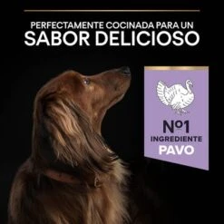 PURINA PRO PLAN Small & Mini Adult Sensitive Digestion Sin Cereales -Gatos Perros Suministros Tienda 44157647 es es 221230 1 5