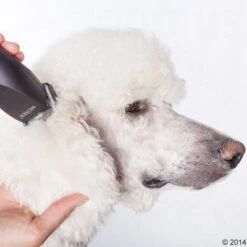 Máquina Cortapelo Moser Max50 -Gatos Perros Suministros Tienda 465281 schermaschine moser max 50 05 4