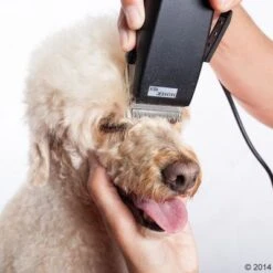 Máquina Cortapelo Moser Rex -Gatos Perros Suministros Tienda 465375 schermaschine moser rex 04 0