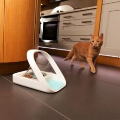 Comedero Automático SureFeed Microchip -Gatos Perros Suministros Tienda 475256 surefeedmicrochip 3
