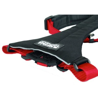 Arnés De Canicross NEEWA Running Rojo Para Perros 2 Arnés De Canicross NEEWA Running Rojo Para Perros - Imagen 2