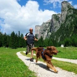 Arnés De Canicross NEEWA Running Rojo Para Perros 8 Arnés De Canicross NEEWA Running Rojo Para Perros -Gatos Perros Suministros Tienda 505648 hs neewa running harness rot im einsatz 4