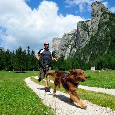 Arnés De Canicross NEEWA Running Rojo Para Perros 4 Arnés De Canicross NEEWA Running Rojo Para Perros - Imagen 4