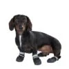 Zapatos Para Perros S & P Boots