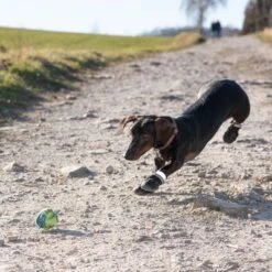 Zapatos Para Perros S & P Boots -Gatos Perros Suministros Tienda 52149 hundeschuhe xs fg 0967 9