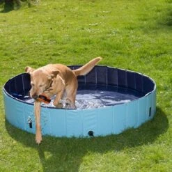 Piscina Para Perros Keep Cool -Gatos Perros Suministros Tienda 60405 dog pool mit hund 01 5