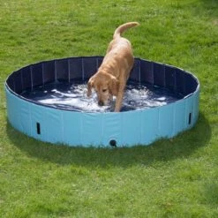 Piscina Para Perros Keep Cool -Gatos Perros Suministros Tienda 60405 dog pool mit hund 02 0