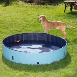 Piscina Para Perros Keep Cool -Gatos Perros Suministros Tienda 60405 dog pool mit hund 04 8