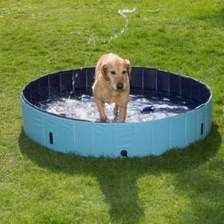 Piscina Para Perros Keep Cool -Gatos Perros Suministros Tienda 60405 dog pool mit hund 05 2