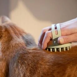 Kooa Cepillo Masajeador Para Gatos -Gatos Perros Suministros Tienda 62207 20 kooa haustierbuerste hpc2208 1000x 6