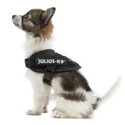 Julius K9 Arnés Julius-K9 IDC® Power Negro Para Perros -Gatos Perros Suministros Tienda 65467 julius k9 idc powergeschirr schwarz 7