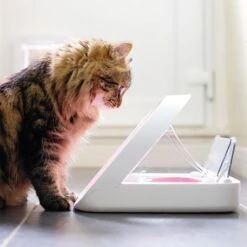 Sureflap Colgantes Identificativos Para Gateras Y Comederos Automáticos -Gatos Perros Suministros Tienda 65566 surefeed microchip pet feeder hs 01 1