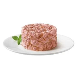 Gourmet Gold Tartelette 24 X 85 G 20 Gourmet Gold Tartelette 24 X 85 G -Gatos Perros Suministros Tienda 69003 purina gourmet gold raffiniertes ragout mit thunfisch 5