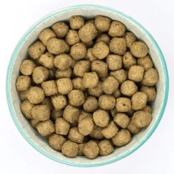 Gatos Perros Suministros Tienda -Gatos Perros Suministros Tienda 6 original fish 1