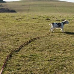 Correa De Rastreo Heim Engomada Para Perros -Gatos Perros Suministros Tienda 71830 supergrip outside fg 3556 0