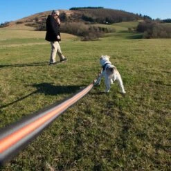 Correa De Rastreo Heim Engomada Para Perros -Gatos Perros Suministros Tienda 71830 supergrip outside fg 3614 9