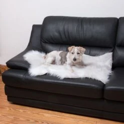 Smartpet Alfombra Para Perros Y Gatos 17 Smartpet Alfombra Para Perros Y Gatos -Gatos Perros Suministros Tienda 73343 kunstfell wei tier fg 9887 1