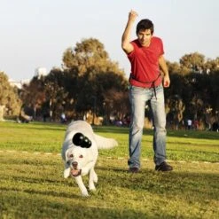 KONG Extreme Juguete Negro Para Perros 19 KONG Extreme Juguete Negro Para Perros -Gatos Perros Suministros Tienda 74319 kongextremeschwarz hs 02 0