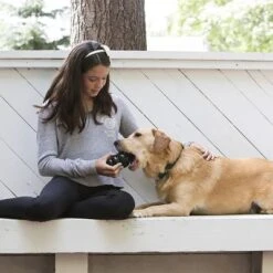 KONG Extreme Juguete Negro Para Perros 23 KONG Extreme Juguete Negro Para Perros -Gatos Perros Suministros Tienda 74319 kongextremeschwarz hs 03 2