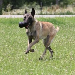 KONG Extreme Juguete Negro Para Perros 24 KONG Extreme Juguete Negro Para Perros -Gatos Perros Suministros Tienda 74319 kongextremeschwarz hs 04 9