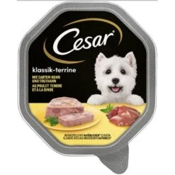 Cesar En Tarrinas 56 X 150 G -Gatos Perros Suministros Tienda 78459 pla mars cesar klassiker huhn truthahn hs 01 0