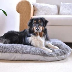 Cojín Ortopédico Pawz & Pepper Denver 23 Cojín Ortopédico Pawz & Pepper Denver -Gatos Perros Suministros Tienda 78610 petlando pawzpepper hundekissen auroraortho hs 010 3