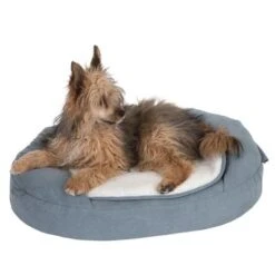 Cama Ortopédica Memory Ovalada Gris 37 Cama Ortopédica Memory Ovalada Gris -Gatos Perros Suministros Tienda 79216 memory oval grau fg 6670 1