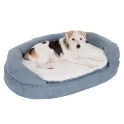Cama Ortopédica Memory Ovalada Gris 32 Cama Ortopédica Memory Ovalada Gris -Gatos Perros Suministros Tienda 79217 memory oval grau fg 6571 5