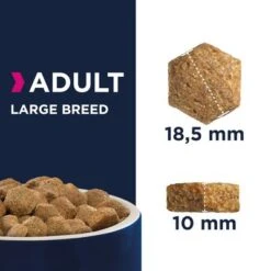 Eukanuba Adult Razas Grandes Con Pollo -Gatos Perros Suministros Tienda 80538 eukanuba adult large breed kibbles 7