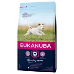 Pack Ahorro: Eukanuba Pienso Para Perros 2 X 7,5 A 15 Kg 26 Pack Ahorro: Eukanuba Pienso Para Perros 2 X 7,5 A 15 Kg -Gatos Perros Suministros Tienda 80542 pla iams eukanuba growingpuppy small 3kg 9