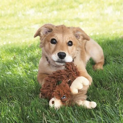 KONG Trekkers Alce De Peluche Para Perros 2 KONG Trekkers Alce De Peluche Para Perros - Imagen 2