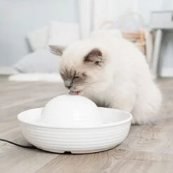 Bebedero Fuente Trixie Vital Flow De Cerámica 10 Bebedero Fuente Trixie Vital Flow De Cerámica -Gatos Perros Suministros Tienda 83797 trixie trinkbrunnen keramik vital flow mini hs 02 9