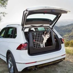 Trasportín Ferplast Atlas Car Para Perros -Gatos Perros Suministros Tienda 84398 ferplast atlas car 100 hs 02 6