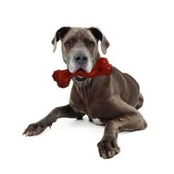 Hueso Nylabone Dura Chew Monster Aroma A Bisonte -Gatos Perros Suministros Tienda 94898 nylabone durra chew monster hs 05 1