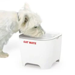 Bebedero Fuente Cat Mate Concha De Pet Mate -Gatos Perros Suministros Tienda 95720 cat mate shell pet fountain hs 01 7