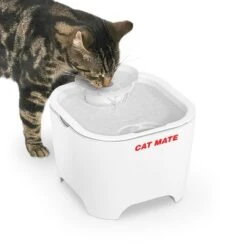 Bebedero Fuente Cat Mate Concha De Pet Mate -Gatos Perros Suministros Tienda 95720 cat mate shell pet fountain hs 02 2 9