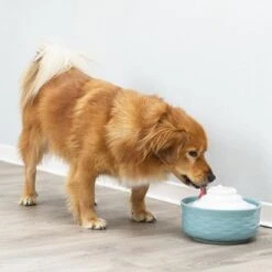 Bebedero Fuente Trixie Vital Falls De Cerámica 14 Bebedero Fuente Trixie Vital Falls De Cerámica -Gatos Perros Suministros Tienda 98396 trixie trinkbrunnen vital falls keramik hs 09 2