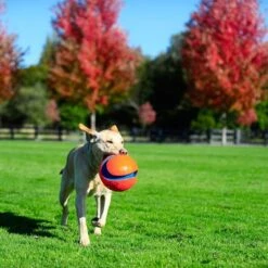 Pelota Chuckit! Kick Fetch Para Perros -Gatos Perros Suministros Tienda 99703 petmate chuckit kick fetch large hs 06 3