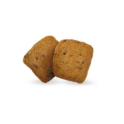 Green Petfood InsectDog Pienso Hipoalergénico Para Perros 3 Green Petfood InsectDog Pienso Hipoalergénico Para Perros - Imagen 3